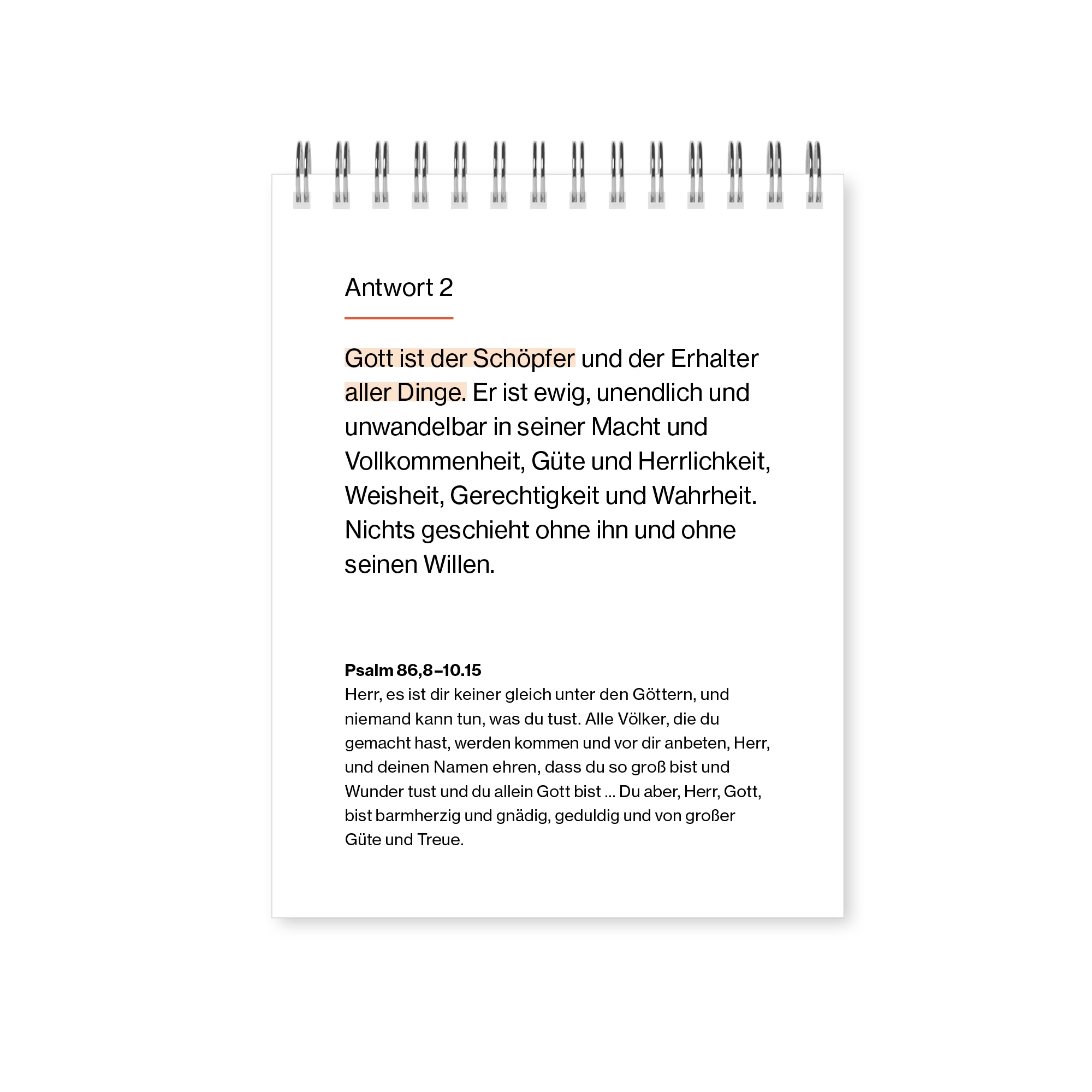 Vorschaubild 8